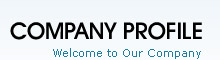 Heatex Boilers (India) Pvt. Ltd.